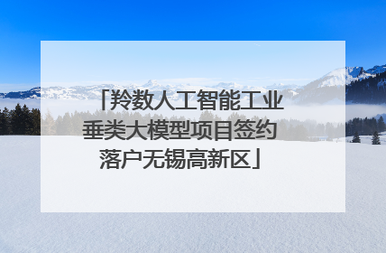 羚数人工智能工业垂类大模型项目签约落户无锡高新区
