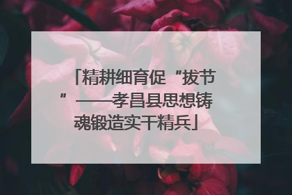 精耕细育促“拔节”——孝昌县思想铸魂锻造实干精兵