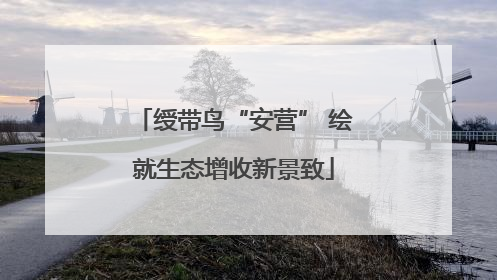 绶带鸟“安营” 绘就生态增收新景致