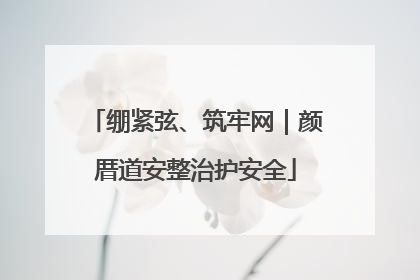 绷紧弦、筑牢网｜颜厝道安整治护安全