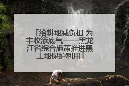 给耕地减负担 为丰收添底气——黑龙江省综合施策推进黑土地保护利用