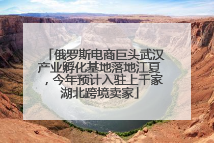 俄罗斯电商巨头武汉产业孵化基地落地江夏，今年预计入驻上千家湖北跨境卖家
