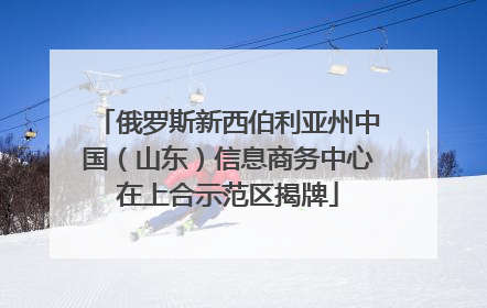 俄罗斯新西伯利亚州中国（山东）信息商务中心在上合示范区揭牌