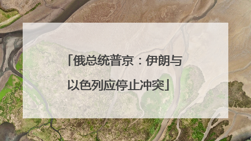 俄总统普京：伊朗与以色列应停止冲突