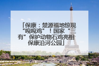 保康：楚源福地惊现“嘎嘎鸡”！国家“三有”保护动物石鸡亮相保康沿河公园