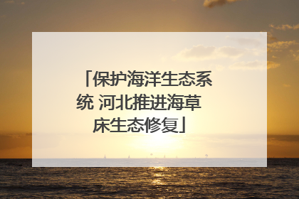 保护海洋生态系统 河北推进海草床生态修复