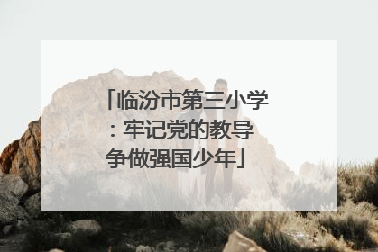 临汾市第三小学：牢记党的教导 争做强国少年