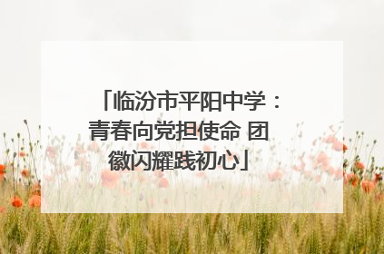 临汾市平阳中学：青春向党担使命 团徽闪耀践初心