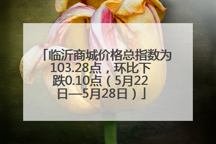 临沂商城价格总指数为103.28点，环比下跌0.10点（5月22日—5月28日）
