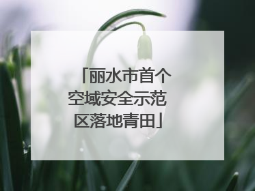 丽水市首个空域安全示范区落地青田