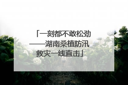 一刻都不敢松劲——湖南桑植防汛救灾一线直击