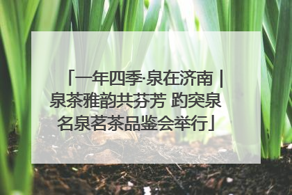 一年四季·泉在济南｜泉茶雅韵共芬芳 趵突泉名泉茗茶品鉴会举行