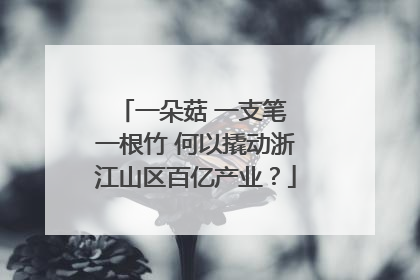 一朵菇 一支笔 一根竹 何以撬动浙江山区百亿产业？