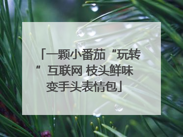 一颗小番茄“玩转”互联网 枝头鲜味变手头表情包