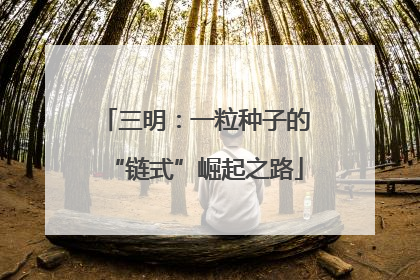 三明：一粒种子的“链式”崛起之路