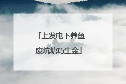 上发电下养鱼 废坑塘巧生金