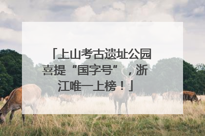 上山考古遗址公园喜提“国字号”，浙江唯一上榜！
