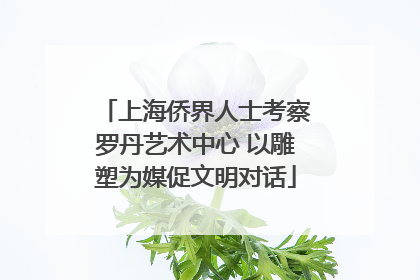 上海侨界人士考察罗丹艺术中心 以雕塑为媒促文明对话