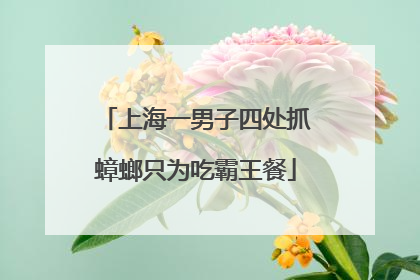 上海一男子四处抓蟑螂只为吃霸王餐