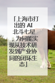 上海市打出的 AI 北斗七星，为何能实现从技术研发到产业协同的闭环生态