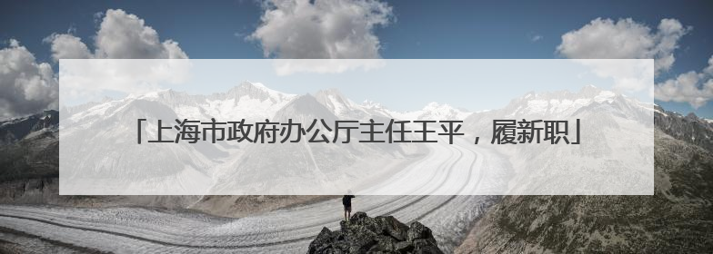 上海市政府办公厅主任王平，履新职