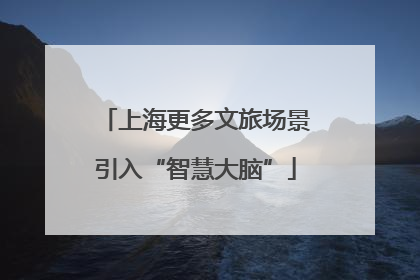 上海更多文旅场景引入“智慧大脑”