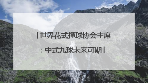 世界花式撞球协会主席：中式九球未来可期