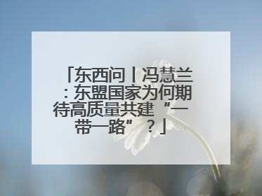 东西问丨冯慧兰：东盟国家为何期待高质量共建“一带一路”？