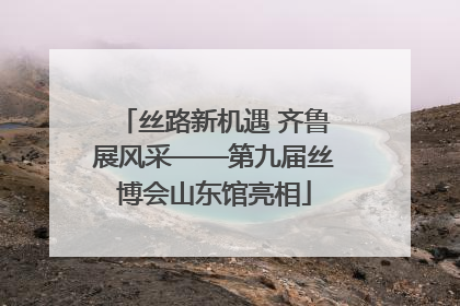 丝路新机遇 齐鲁展风采——第九届丝博会山东馆亮相