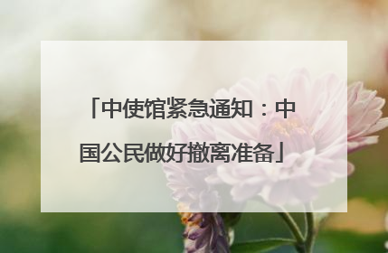 中使馆紧急通知：中国公民做好撤离准备