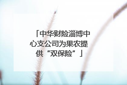 中华财险淄博中心支公司为果农提供“双保险”