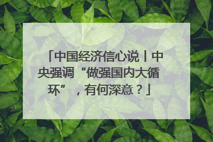 中国经济信心说丨中央强调“做强国内大循环”，有何深意？