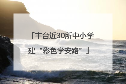 丰台近30所中小学建“彩色学安路”