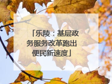 乐陵：基层政务服务改革跑出便民新速度