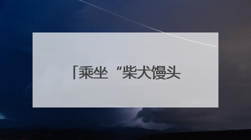 乘坐“柴犬馒头号”抵达治愈，带上宠物去逛个展