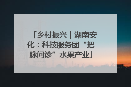 乡村振兴｜湖南安化：科技服务团“把脉问诊”水果产业