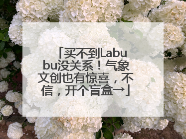 买不到Labubu没关系！气象文创也有惊喜，不信，开个盲盒→