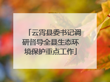 云霄县委书记调研督导全县生态环境保护重点工作