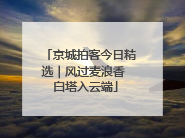 京城拍客今日精选｜风过麦浪香 白塔入云端