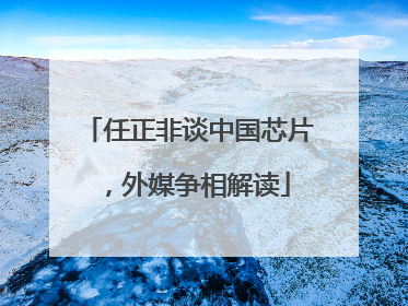 任正非谈中国芯片，外媒争相解读
