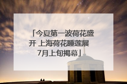 今夏第一波荷花盛开 上海荷花睡莲展7月上旬揭幕