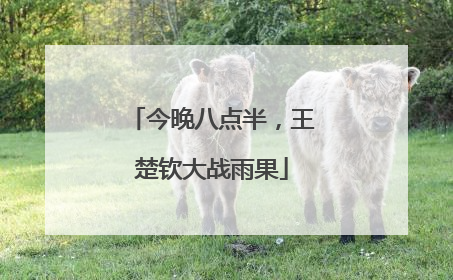 今晚八点半，王楚钦大战雨果
