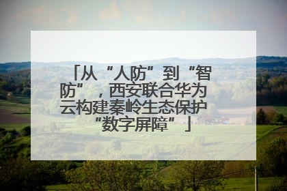 从“人防”到“智防”，西安联合华为云构建秦岭生态保护“数字屏障”