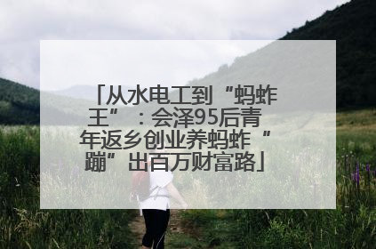 从水电工到“蚂蚱王”：会泽95后青年返乡创业养蚂蚱“蹦”出百万财富路