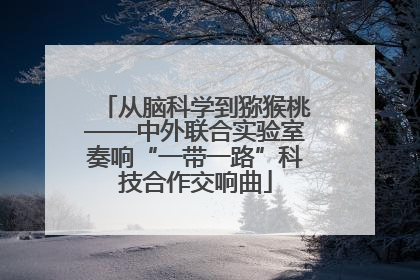 从脑科学到猕猴桃——中外联合实验室奏响“一带一路”科技合作交响曲