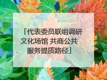 代表委员联组调研文化场馆 共商公共服务提质路径