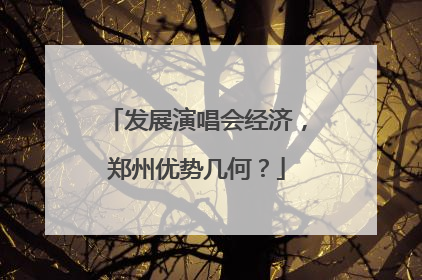 发展演唱会经济，郑州优势几何？