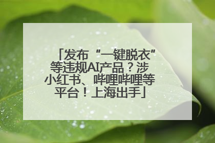 发布“一键脱衣”等违规AI产品？涉小红书、哔哩哔哩等平台！上海出手