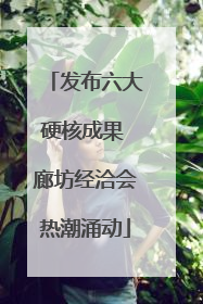 发布六大硬核成果 廊坊经洽会热潮涌动