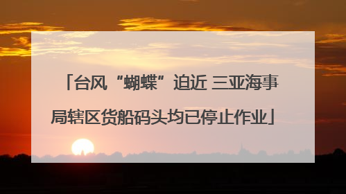 台风“蝴蝶”迫近 三亚海事局辖区货船码头均已停止作业